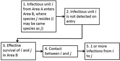 The Risk of Infection by African Swine Fever Virus in European Swine Through Boar Movement and Legal Trade of Pigs and Pig Meat